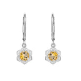 Petals Halo Round Natural Gemstone Silver Drop Earrings